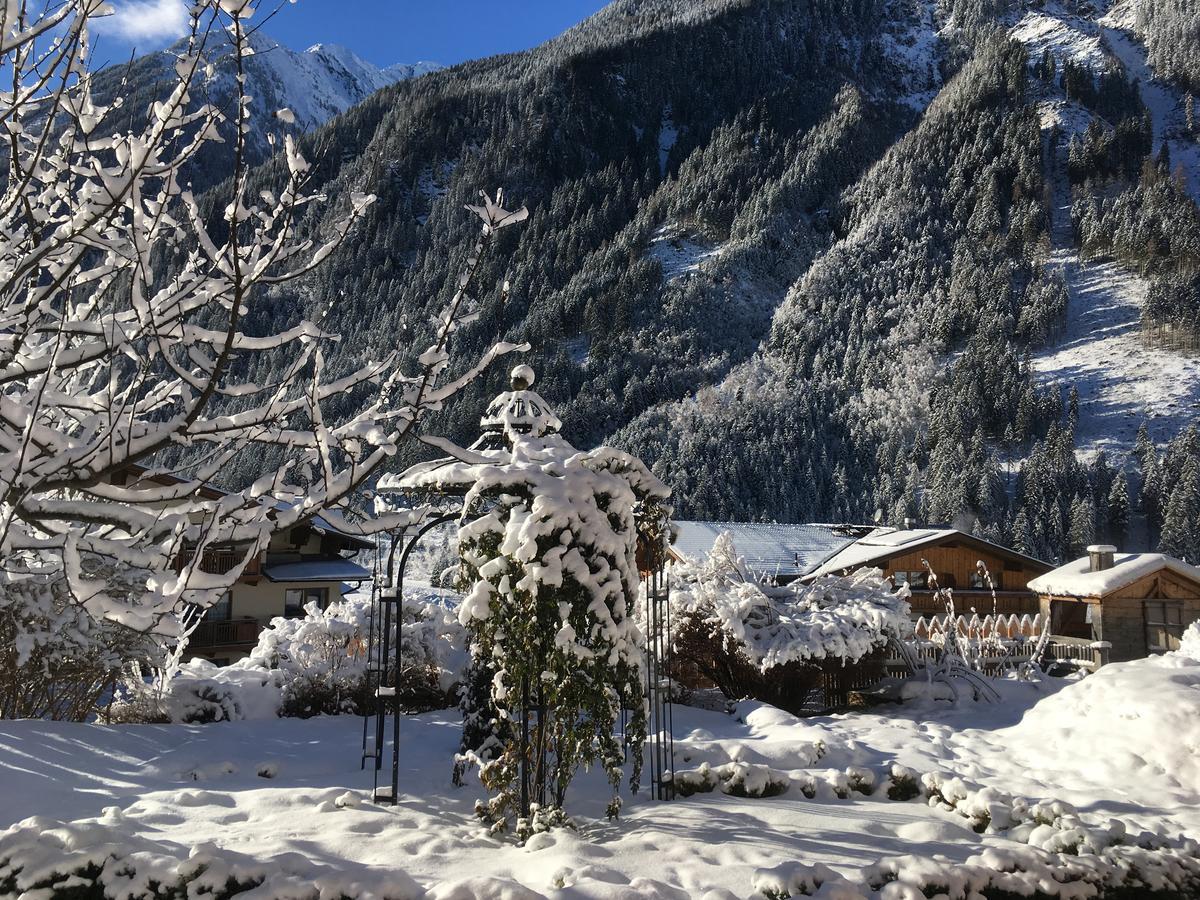 Appartement O. Tom's Hütte Neustift im Stubaital Eksteriør bilde