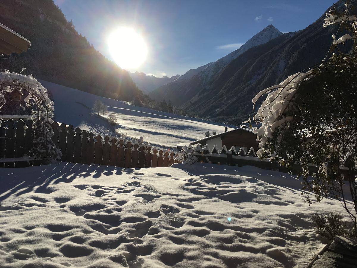 Appartement O. Tom's Hütte Neustift im Stubaital Eksteriør bilde